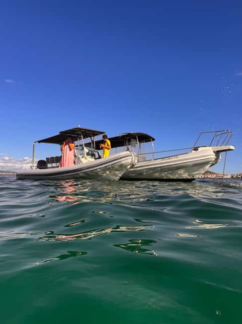 Obraz nr 8 z atrakcji Zadar: Półdniowa wycieczka łodzią motorową z nurkowaniem i napojami w Dalmacja, przesłany przez organizatora