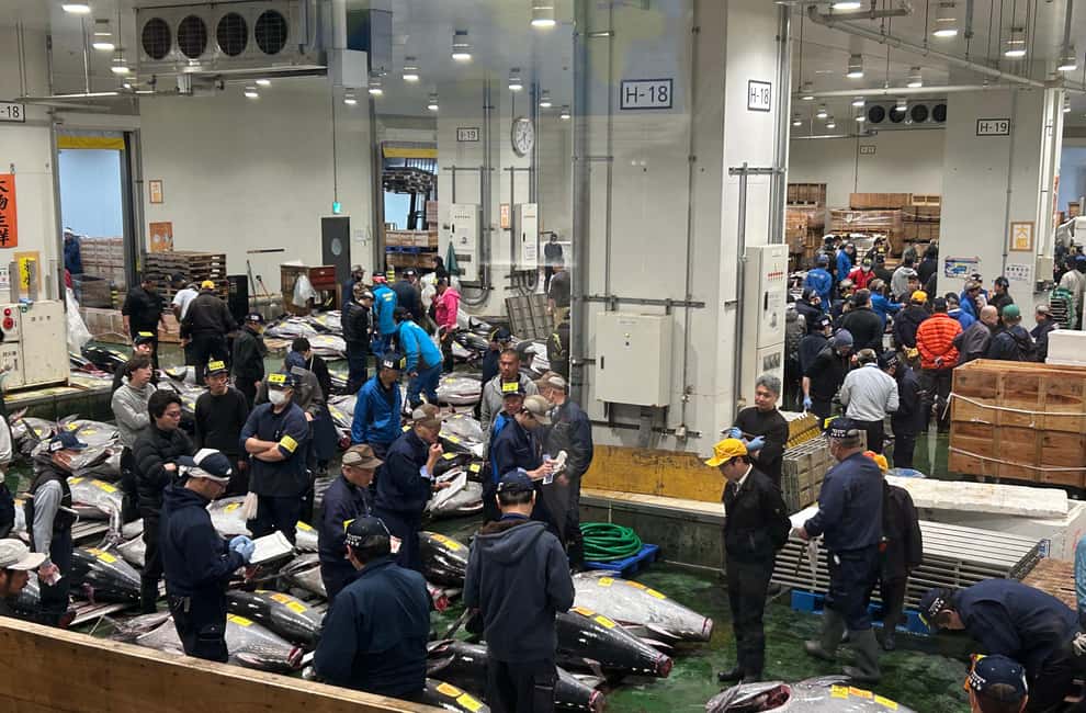 image n.1 of Tokyo: Toyosu & Tsukiji Market Adventure with Tuna Auction activity in Tokyo, uploaded by supplier