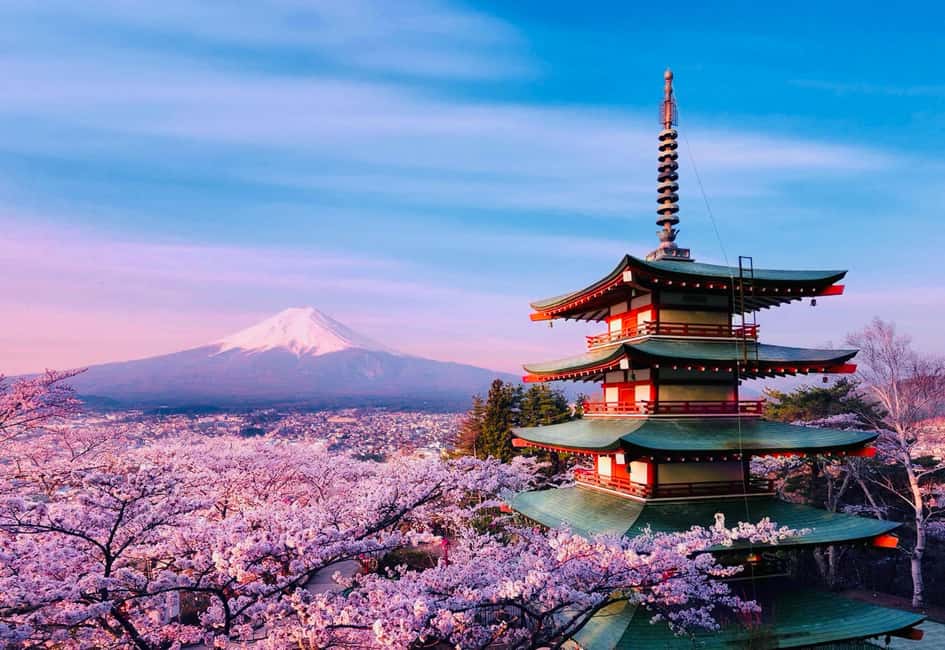 image n.4 of From Tokyo: Mount Fuji Full Day Private Tour English Guide activity in Fujikawaguchiko, uploaded by supplier