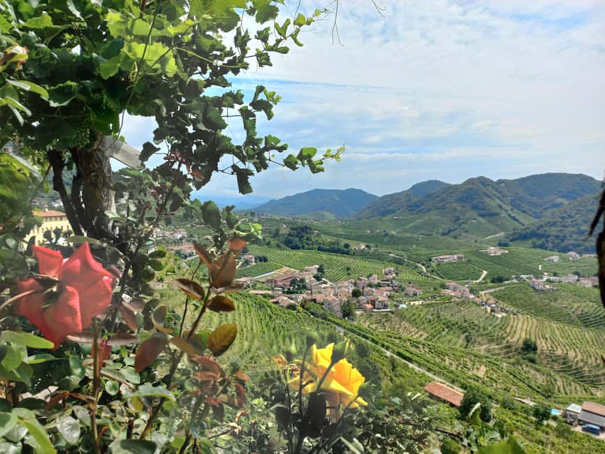 Immagine nº 1 di Da Venezia e Treviso: Tour enogastronomico delle Colline del Prosecco attività a Venezia, caricata dal fornitore