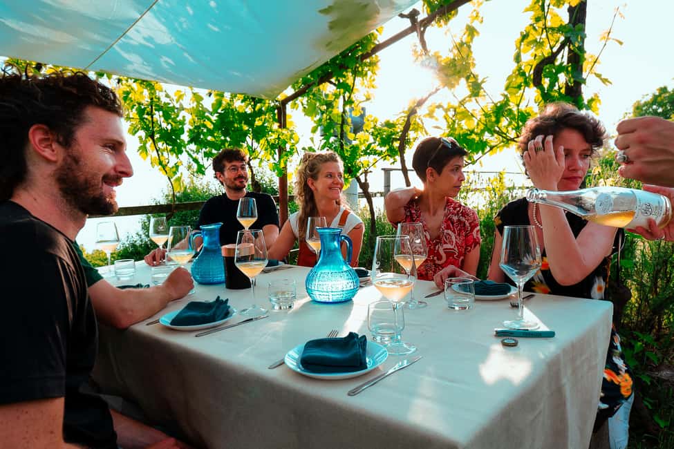 Immagine nº 11 di Trieste: Tour delle origini del Prosecco e degustazioni di 2,5 ore attività a Trieste, caricata dal fornitore
