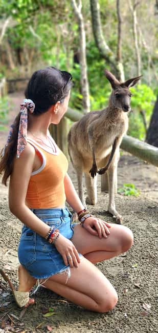 image n.2 of Sunrise with the Kangaroos & Wallabies - Airlie Beach activity in Mackay, uploaded by supplier