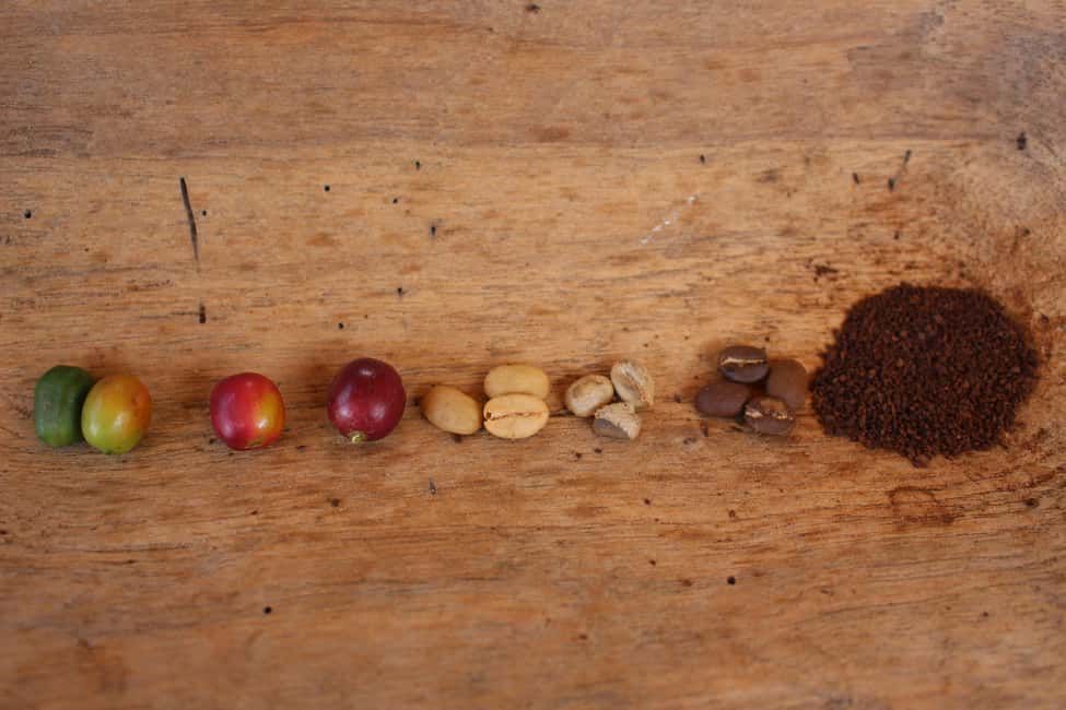 image n.11 of Medellin: Coffee Tour with Hotel Transfers and Meals activity in Medellin, uploaded by supplier