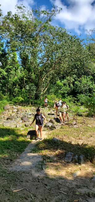 billede nr.6 af aktiviteten Fra San Juan: El Yunque regnskov og Luquillo strandtur i Río Grande, Puerto Rico, uploadet af udbyder