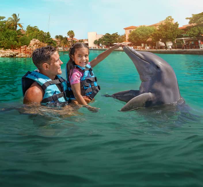 afbeelding n.1 van Puerto Aventuras: zwemmen met dolfijnen, zeeleeuwen, zeekoeien en lunch activiteit in Puerto Aventuras, geüpload door aanbieder