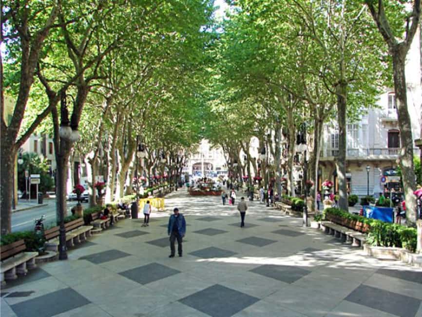 image n.16 of Palma de Mallorca: Guided Tour of the Old Town activity in Palma de Mallorca, uploaded by supplier