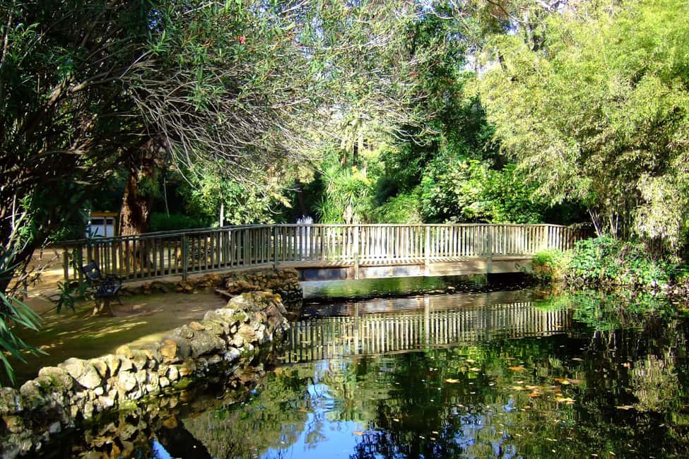 imagem n.10 de Segredos do Parque Maria Luisa e da Praça de Espanha atividade em Sevilha, carregada pelo fornecedor