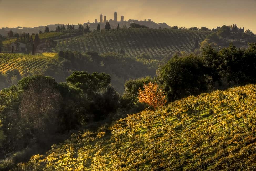 bilde nr.2 av Fra Siena: Chianti og San Gimignano Sunset Tour aktivitet i Siena, lastet opp av leverandør