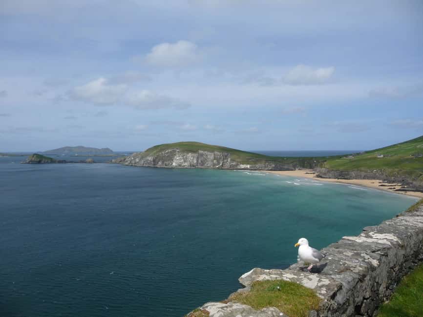 imagen n.º 4 de Desde Dublín: Excursión de 5 días al Suroeste con alojamiento actividad en Munster, Irlanda, subida por el proveedor