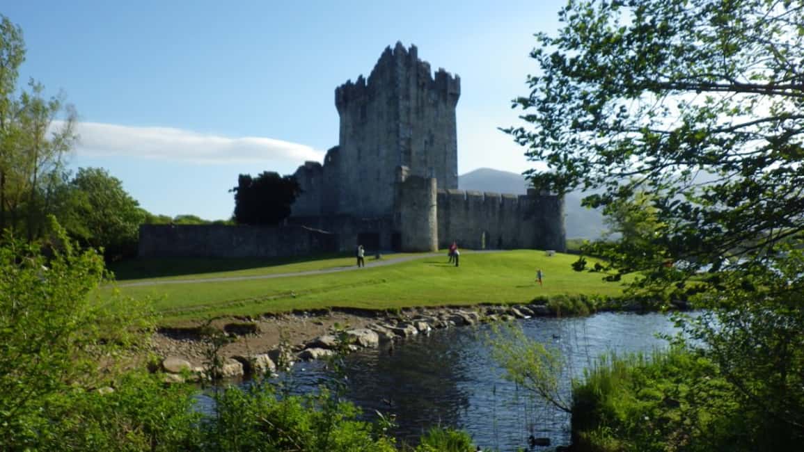 imagen n.º 5 de Desde Dublín: Excursión de 5 días al Suroeste con alojamiento actividad en Munster, Irlanda, subida por el proveedor