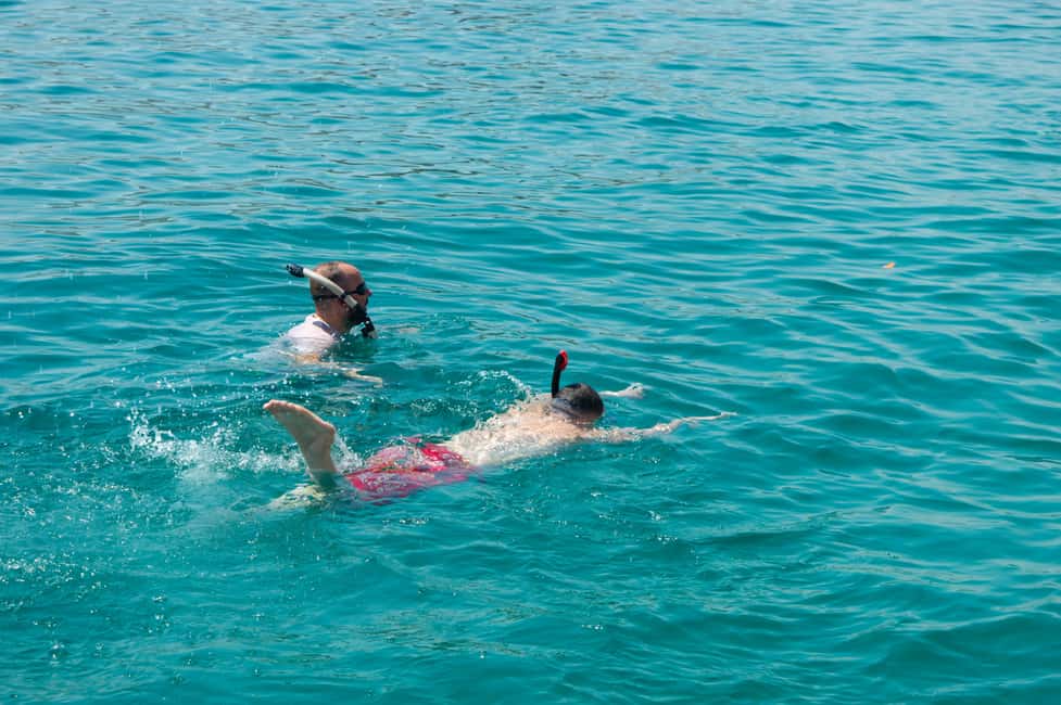 Immagine nº 12 di Muscat: tour privato in barca delle isole Daymaniyat con snorkeling attività a Oman, caricata dal fornitore