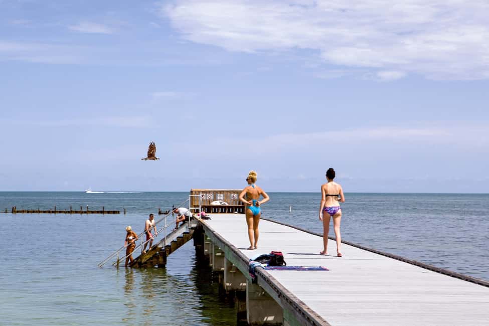 image n.9 of From Miami: Key West Day Tour by Motor Coach Bus activity in Key West, uploaded by supplier