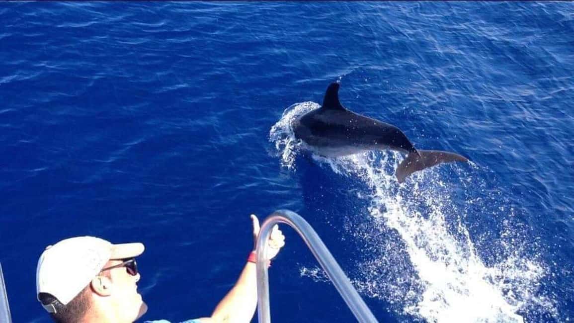 image n.4 of Los Cristianos: Eco Yacht Whale Watching Tour at Sunset activity in Canary Islands, uploaded by supplier