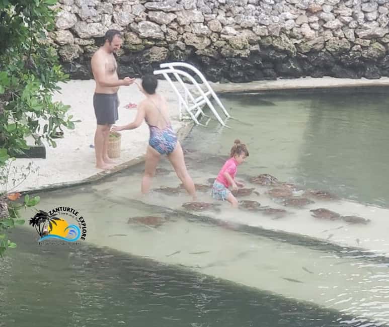 image n.9 of Nungwi: Swimming with Turtles at The Lagoons Zanzibar activity in Zanzibar City, uploaded by supplier