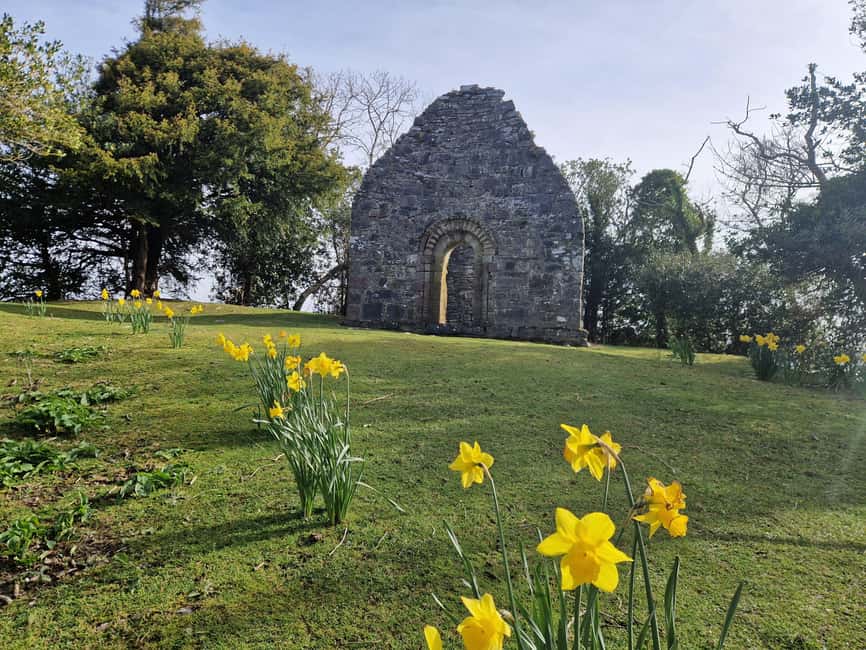Obraz nr 21 z atrakcji Killarney: Rejs wycieczkowy na wyspę Innisfallen, jeziora Killarney w Munster, przesłany przez organizatora