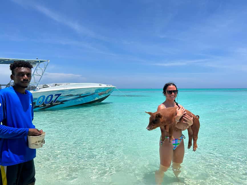 Image N°61 de Nassau : Cochons, plongée en apnée, tortues, déjeuner, club de plage privé activité à New Providence, publiée par le prestataire