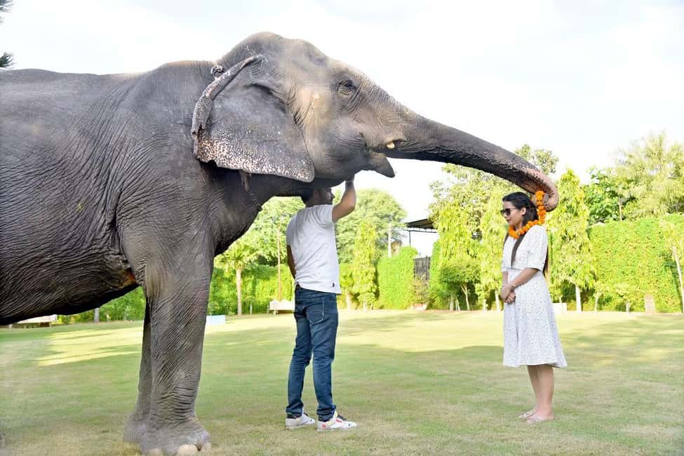 image n.12 of Jaipur: Elephant Interaction Tour activity in Jaipur, uploaded by supplier