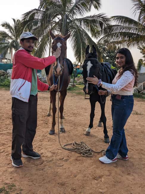 image n.5 of Bangalore: Horse Riding Safari Tour activity in Bangalore, uploaded by supplier