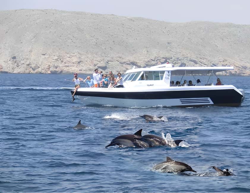 Immagine nº 1 di Muscat: gita in barca per l'osservazione dei delfini con snack e guida locale attività a Mascate, caricata dal fornitore