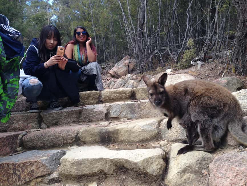 image n.6 of Hobart: Wineglass Bay & Freycinet Active Day Tour activity in Coles Bay, uploaded by supplier