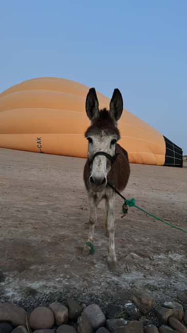 imagen n.º 120 de Marrakech: Vuelo en Globo, Desayuno Bereber y Paseo en Camello actividad en Marrakech, subida por el proveedor