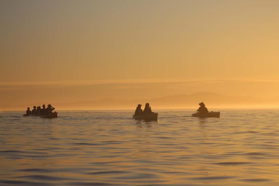 image n.3 of Kaikōura: Kayak Sunset Tour with Seal Sightings activity in Kaikoura, uploaded by supplier