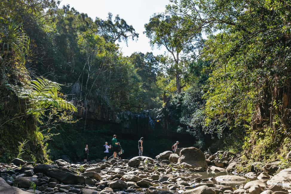 image n.10 of Maui: Rainforest Waterfalls Guided Hike with Picnic Lunch activity in Haiku, Hawaii, uploaded by supplier