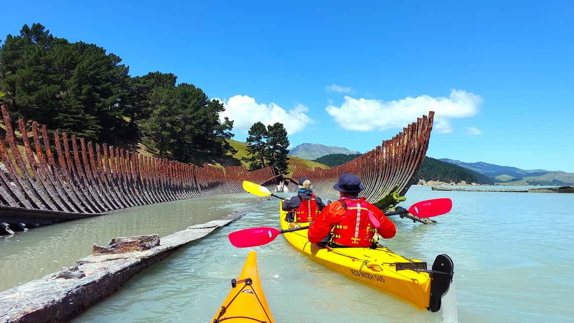 image n.11 of Christchurch: Sea Kayaking Tour of Lyttelton Harbour activity in South Island, uploaded by supplier
