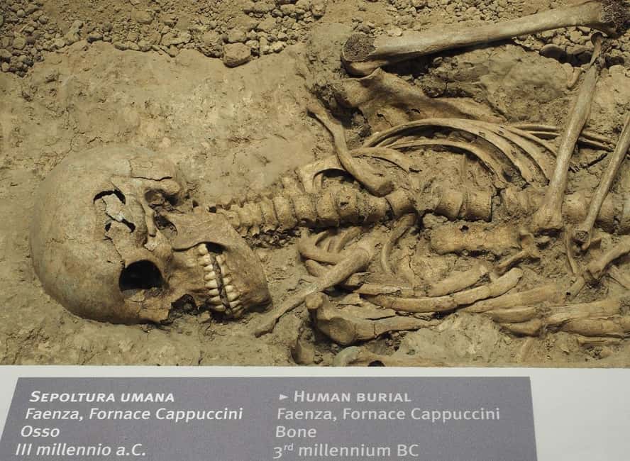 Immagine nº 22 di Museo Classis & Basilica di Sant'Apollinare Biglietto d'ingresso attività a Ravenna, caricata dal fornitore