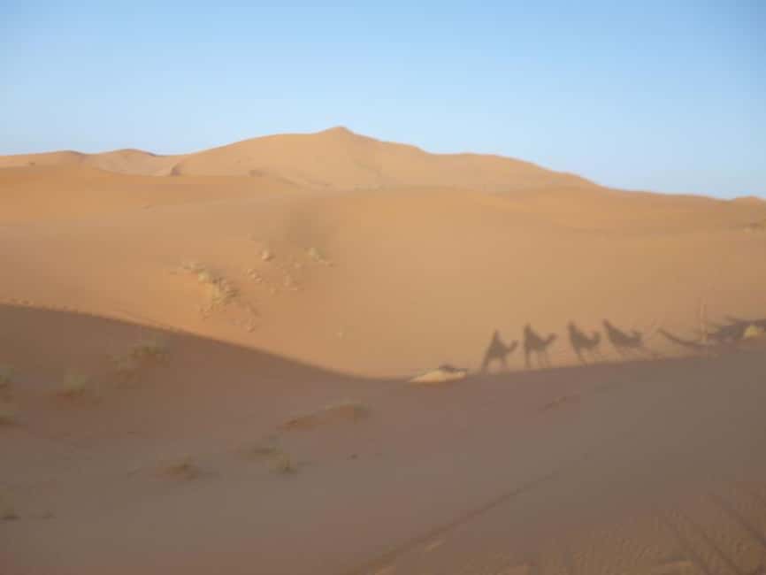Image N°11 de Au départ de Fès : Circuit de 2 jours dans le désert avec retour à Fès ou à Marrakech activité à Drâa-Tafilalet, publiée par le prestataire
