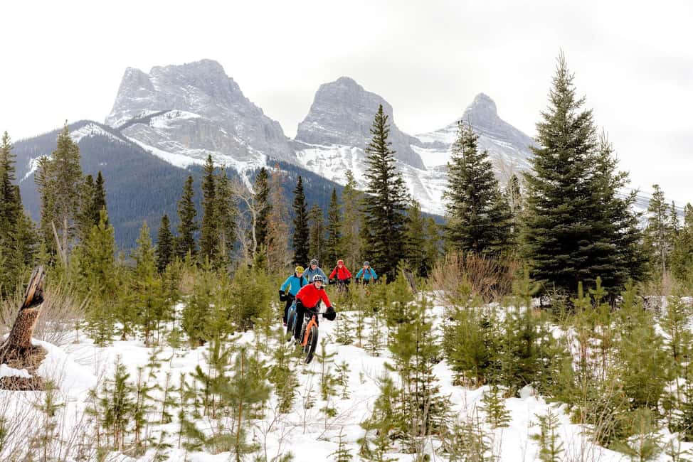 image n.19 of PRIVATE Wilderness and Wildlife Walking Tour - 2.5H activity in British Columbia, uploaded by supplier