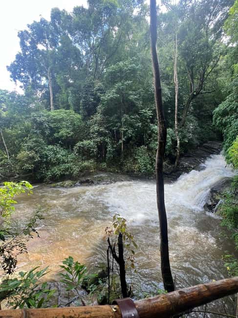 image n.40 of Chiang Mai: Doi Inthanon Park and Pha Dok Siew Trail Trek activity in Chiang Mai, uploaded by supplier