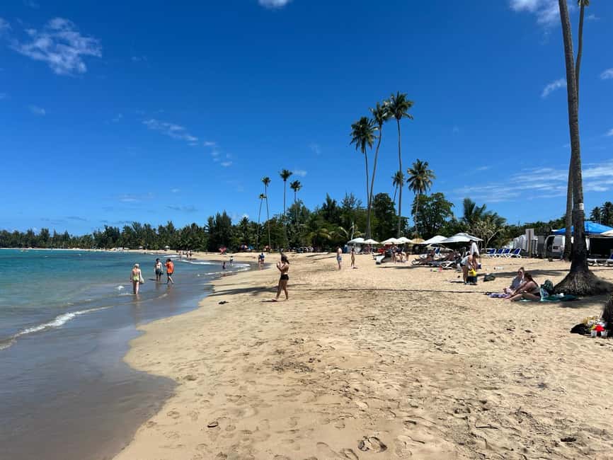Obraz nr 26 z atrakcji Las deszczowy El Yunque; zjeżdżalnie wodne, plaża, posiłek i wycieczka po sklepach w Río Grande, Portoryko, przesłany przez organizatora