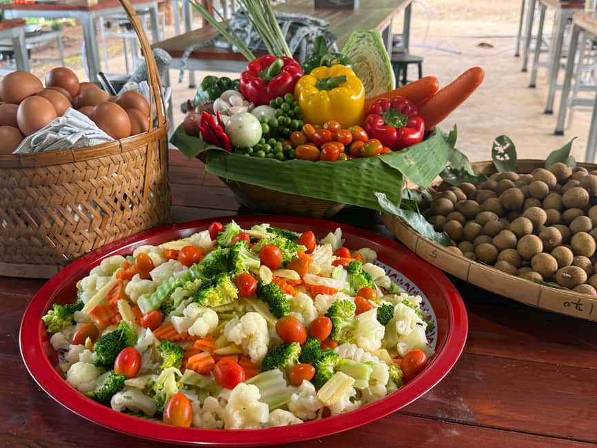 Chiang Mai: Elephant Sanctuary & Thai Cooking Workshop | GetYourGuide