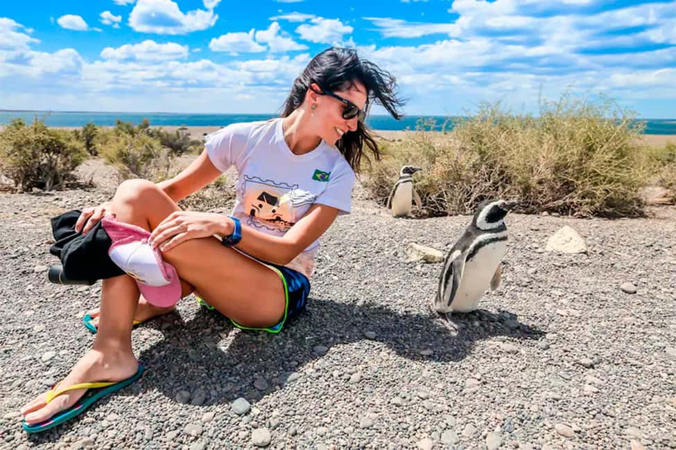 Bild Nr. 1 von Ab Puerto Madryn: Tagestour nach Punta Tombo mit Hoteltransfer Aktivität in Chubut Provinz, hochgeladen vom Anbieter