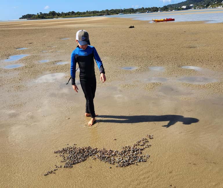 image n.10 of Noosa Stand Up Paddle & Mangrove Tunnel Tour (Self Guided) activity in Noosaville, uploaded by supplier