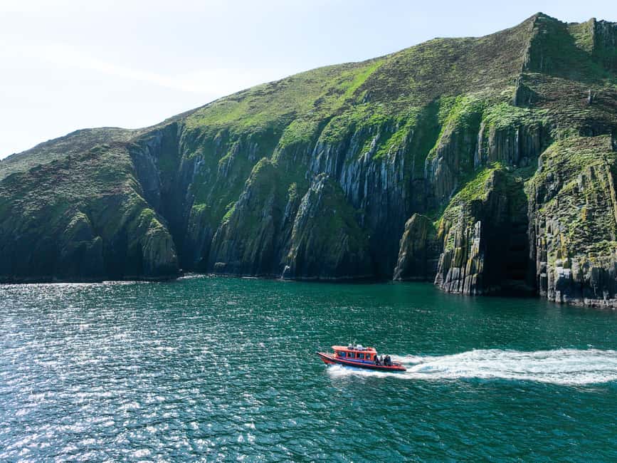 Obraz nr 7 z atrakcji Wycieczka Great Blasket Island Wildlife Tour z Island Landing w Munster, przesłany przez organizatora