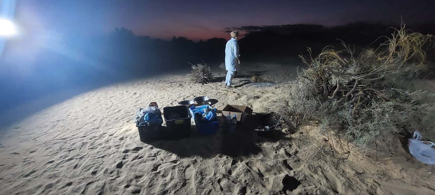 image n.47 of From Yasmine Hammamet/Kantaoui: 2-Day Sahara Tour with Meals activity in Tozeur Governorate, uploaded by supplier