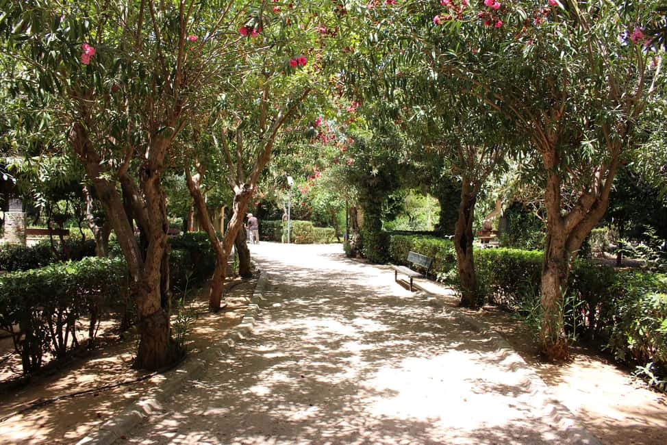 Immagine nº 20 di Creta: Margarites, Rethymnon, Argyroupoli Tour di un giorno intero attività a Rethymno, caricata dal fornitore