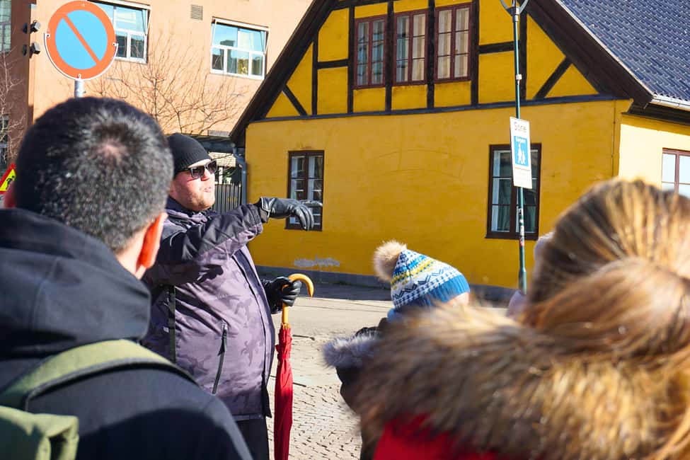 Immagine nº 3 di Tour di Oslo: storia, arte e segreti attività a Oslo, caricata dal fornitore