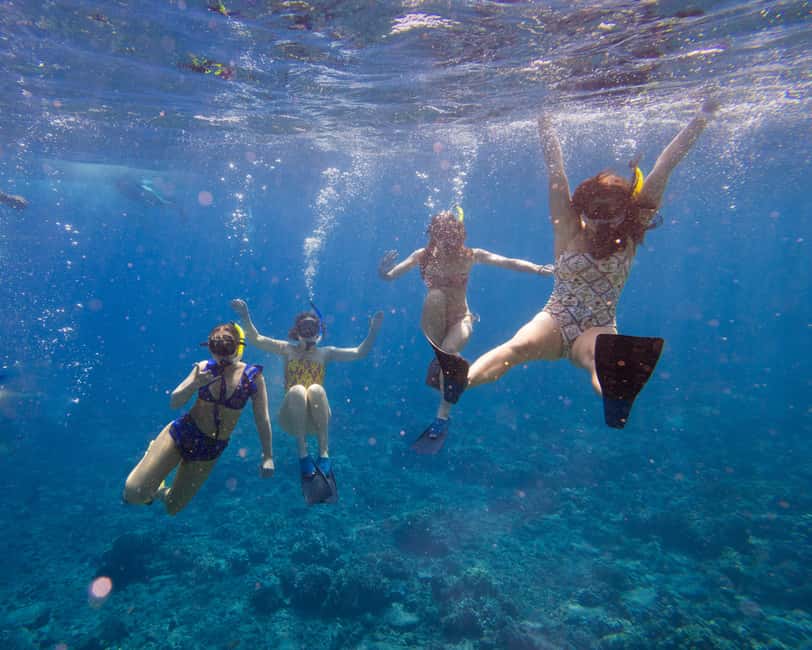 image n.13 of Maui: Molokini Snorkel and Performance Sail with Lunch activity in Hawaii, uploaded by supplier
