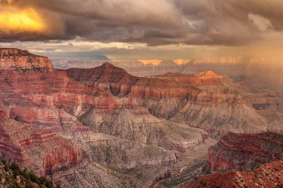 image n.8 of Grand Canyon Hoover Dam and Joshua Tree VIP Small Group Tour activity in Arizona, uploaded by supplier