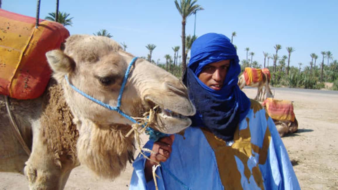 imagen n.º 4 de Marrakech: Medio día de paseo en camello por el Palmeral actividad en Marrakech, subida por el proveedor