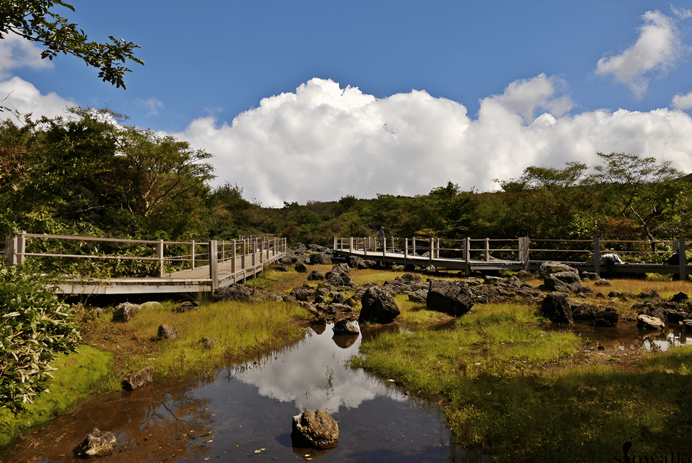 image n.8 of Jeju island : West & South Full-Day Tour activity in Seogwipo-si, uploaded by supplier