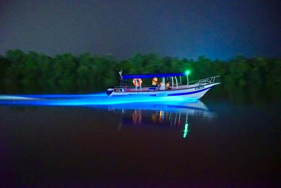 billede nr.4 af aktiviteten Kuala Lumpur: Kuala Selangor Fireflies and Blue Tears Tour i Kuala Selangor, uploadet af udbyder