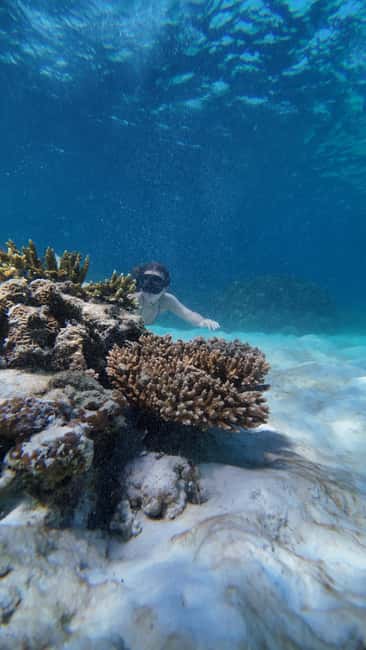 image n.29 of Koh Lipe: Longtail Boat Snorkeling Trip with Lunch activity in Gulf of Thailand, uploaded by supplier