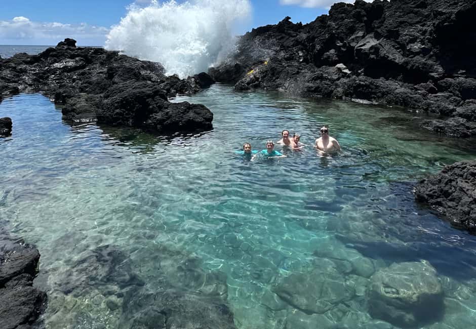 Immagine nº 9 di Escursione alle pozze di marea segrete - Giungla e costa - Privato attività a Pahoa, caricata dal fornitore