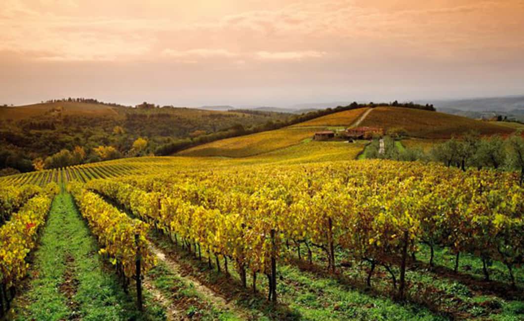 Immagine nº 1 di Da San Gimignano: Tour del Brunello attività a San Gimignano, caricata dal fornitore