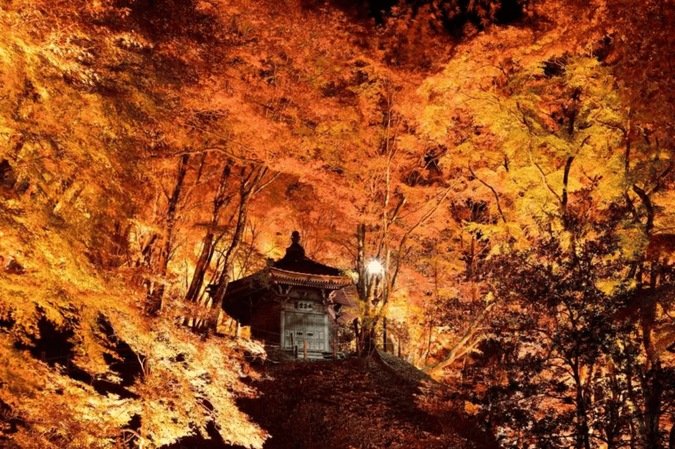 image n.9 of From Nagoya: Obara Shiki-Zakura and Korankei Autumn Trip activity in Nagoya, uploaded by supplier