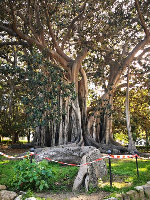 image n.12 of Palermo: Timeless Art & Architecture Trail activity in Palermo, uploaded by supplier